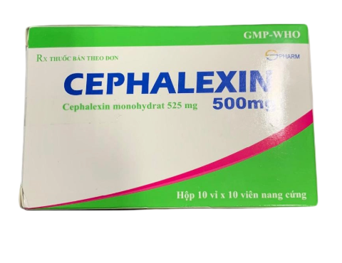 1827. Cephalexin 500Mg - (Cephalexin 500mg) - [Thùng 96 Hộp; Hộp 10 Vỉ; Vỉ 10 Viên] S.pharm - Việt Nam